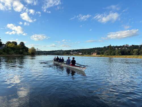 Ruderer auf der Elbe